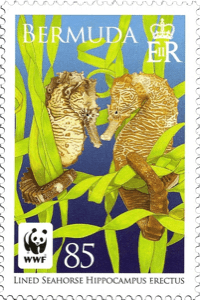 — stamp