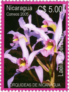 — stamp