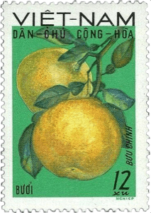 — stamp