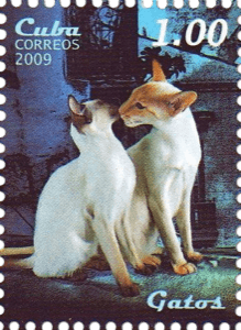 — stamp